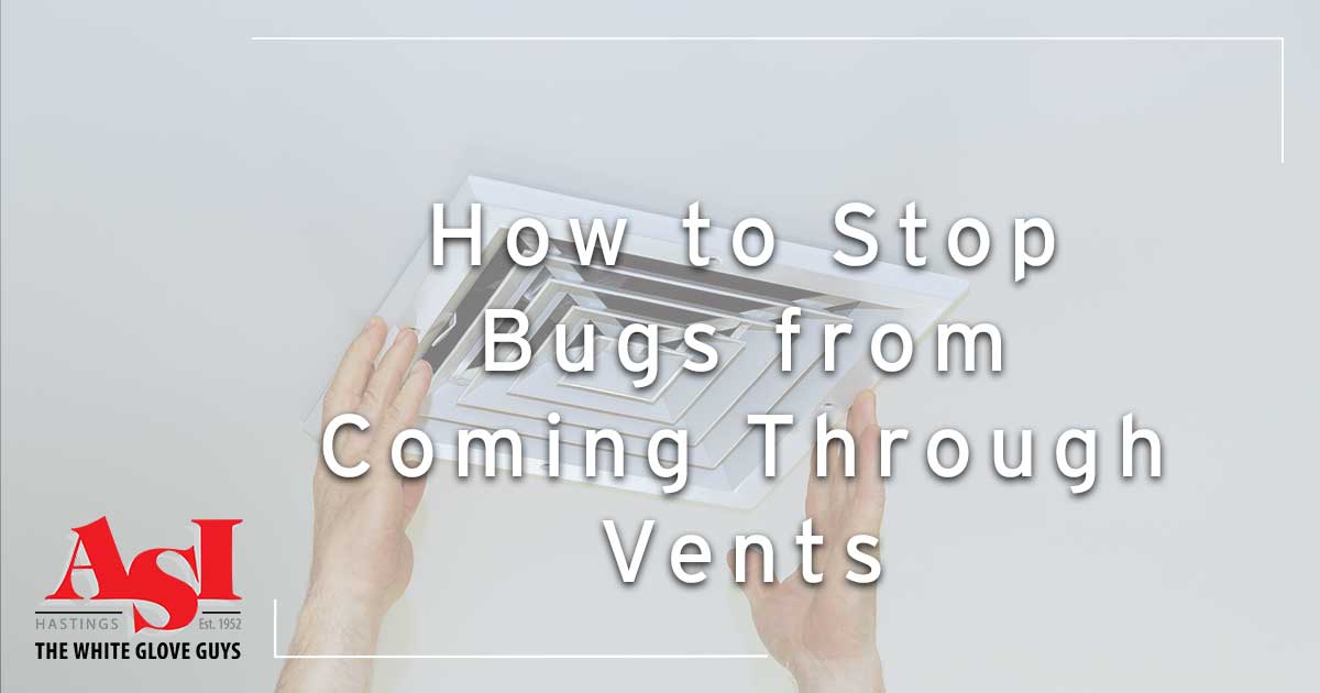 How to Stop Bugs from Coming Through Vents