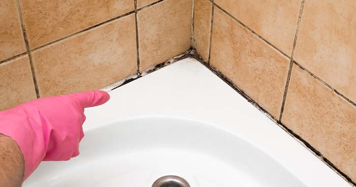 You can caulk a shower when there's mold growing under the existing caulk.