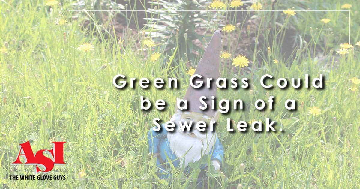 Is Your Lawn Looking a Little Overgrown? Green Grass Could be a Sign of a Sewer Leak.