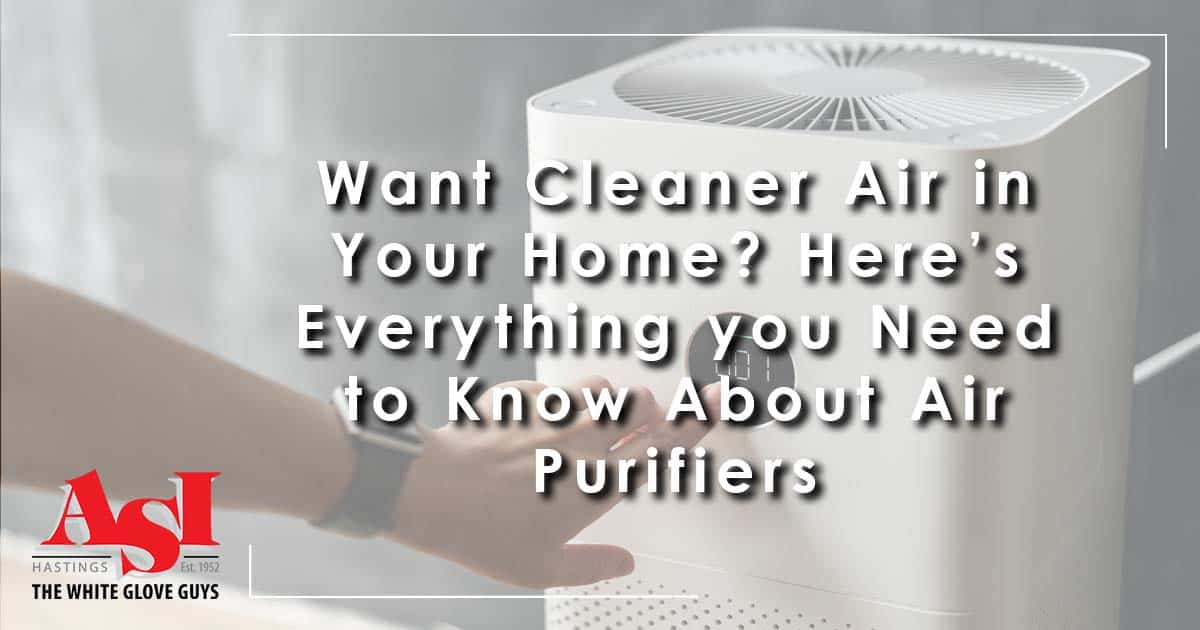 Want Cleaner Air in Your Home? Here’s Everything you Need to Know About Air Purifiers
