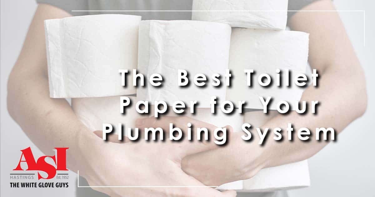 Image: a man holding many rolls of toilet paper, cover image for The Best Toilet Paper for Your Plumbing System.