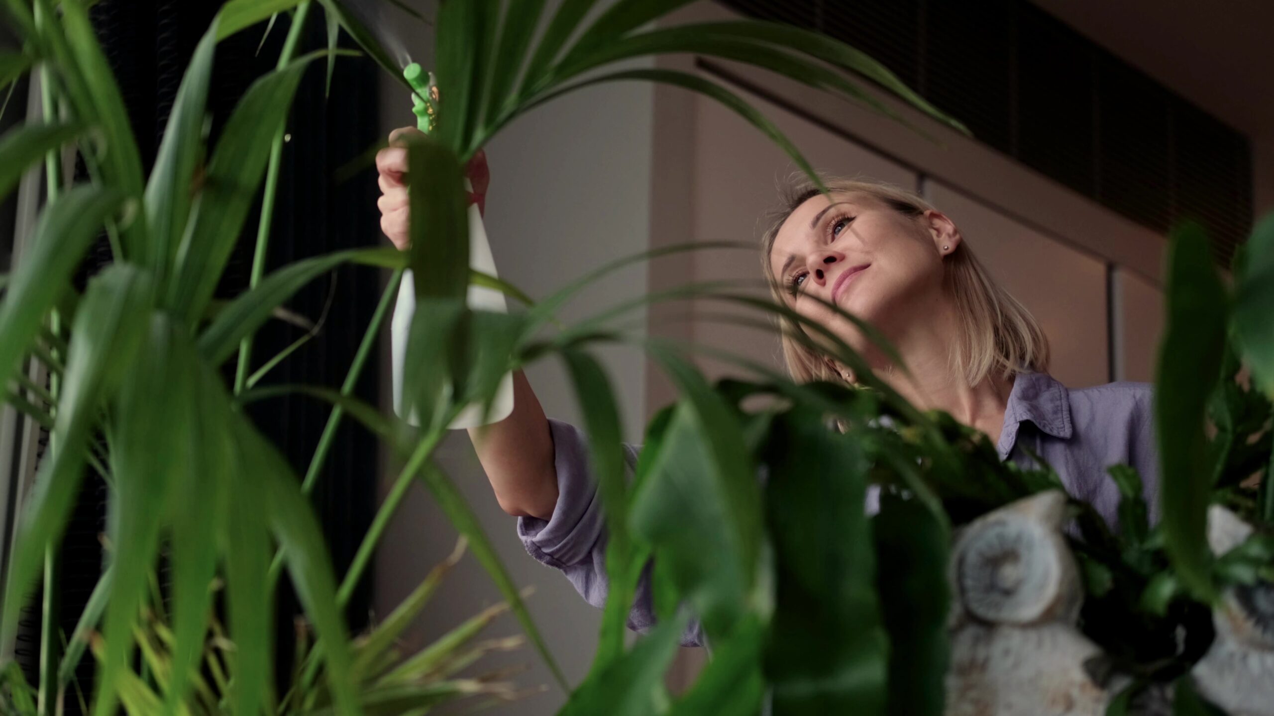 A woman taking care of her plants indoors