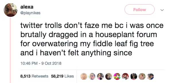 Tweet about trolls
