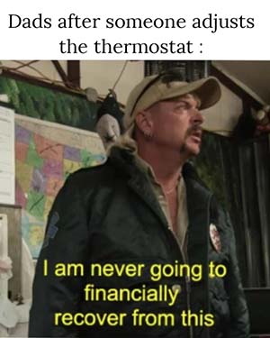 Image: Tiger King meme about thermostat settings.